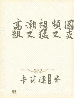 高潮视频国产又粗又猛又爽又黄的视频