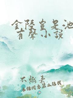 金陵岂是池中物 有声小说