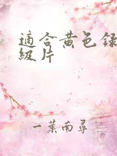 适合黄色录像一级片