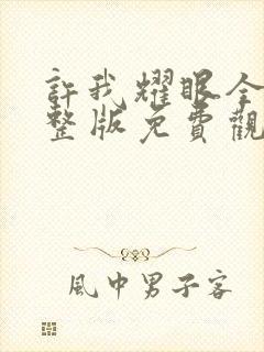 许我耀眼全集完整版免费观看电视剧