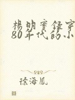 杨明实录穿越到80年代的小说