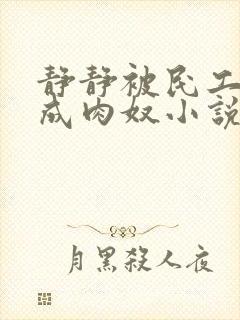 静静被民工调教成肉奴小说