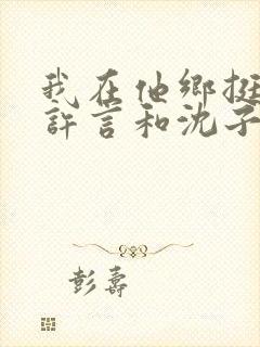 我在他乡挺好的许言和沈子畅结局