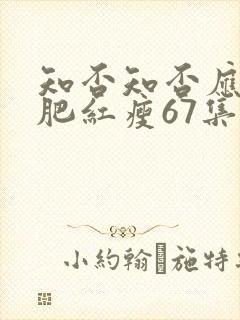 知否知否应是绿肥红瘦67集