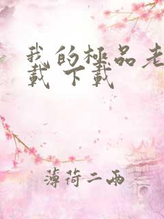 我的极品老婆下载 下载