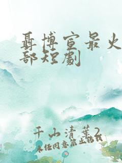 聂博宣最火的十部短剧