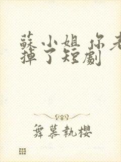 苏小姐 你老公掉了短剧