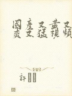 国产又黄又粗又爽又猛视频