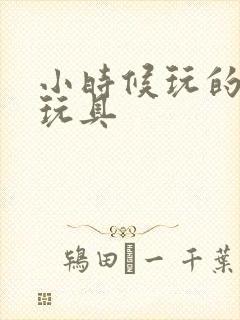 小时候玩的拼装玩具