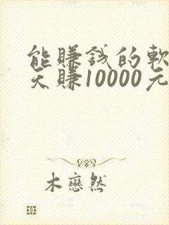 能赚钱的软件一天赚10000元