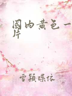 国内黄色一级大片