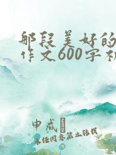 那段美好的时光作文600字初中