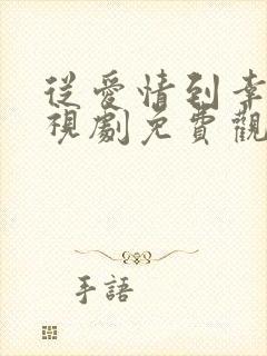 从爱情到幸福电视剧免费观看