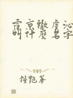 霍京辙虞沁小说叫什么名字