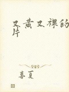 又黄又裸的一级片