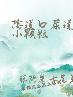 阴道口尿道口起小颗粒