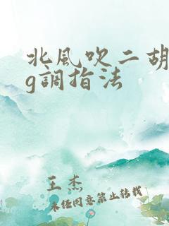 北风吹二胡简谱g调指法