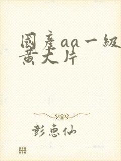 国产aa一级特黄大片