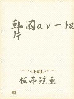 韩国a v一级片