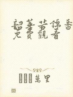 韶华若锦番外篇免费观看