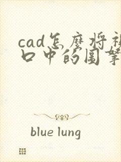 cad怎么将视口中的图拿到布局上来