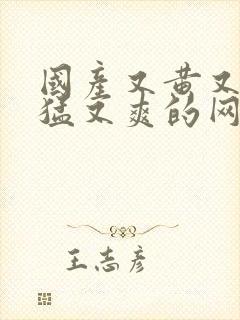 国产又黄又粗又猛又爽的网站