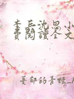 李兵沈思小说免费阅读全文