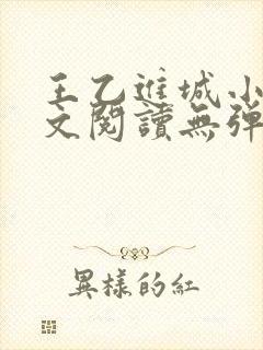 王乙进城小说全文阅读无弹窗