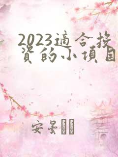 2023适合投资的小项目