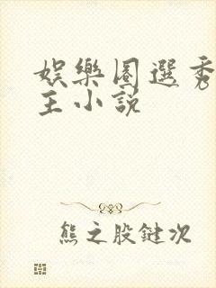 娱乐圈选秀双男主小说