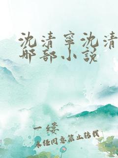 沈清宁沈清壁是哪部小说