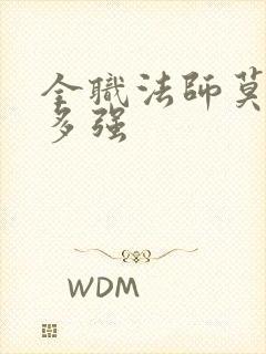 全职法师莫凡有多强