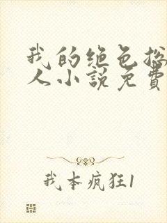 我的绝色总裁夫人小说免费阅读