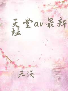 天堂av最新网址