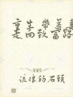 重生 带着妻儿走向致富路短剧免费观看