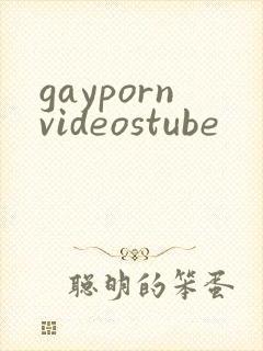gaypornvideostube