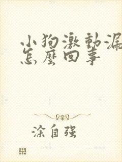 小狗激动漏尿是怎么回事