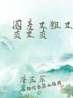 国产又粗又黄又爽又爽