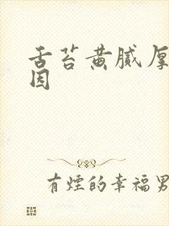 舌苔黄腻厚的原因