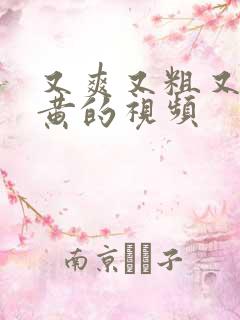 又爽又粗又猛又黄的视频