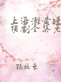 上海滩黄晓明电视剧全集免费观看