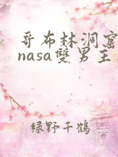 哥布林洞窟动漫nasa双男主在线播放