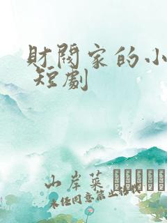财阀家的小儿子 短剧