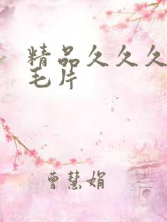 精品久久久久久毛片