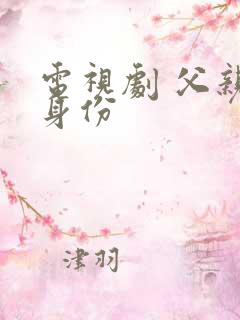 电视剧 父亲的身份