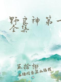 野良神 第一季全集