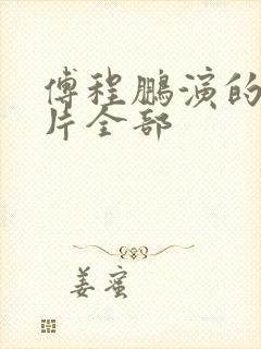 傅程鹏演的谍战片全部