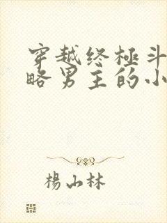 穿越终极斗罗攻略男主的小说