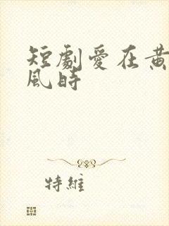 短剧爱在黄昏晚风时