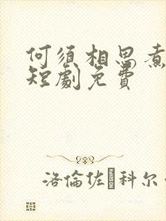 何须相思煮余年短剧免费